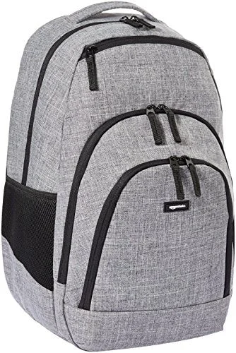 Amazonbasics Campus Backpack, Grey