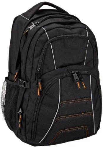 Amazonbasics Backpack For Laptops Up To 17-Inches